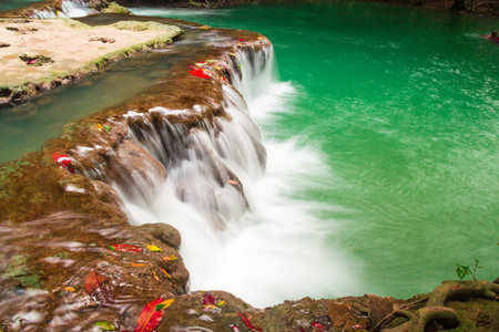 Andaman Thailand outdoor photography of waterfall in rain jungle forest. Trees,...