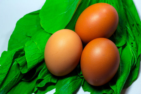 raw food with green leaf