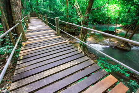 a bridge Waterfall in the national park, Phuket Thailandの写真素材