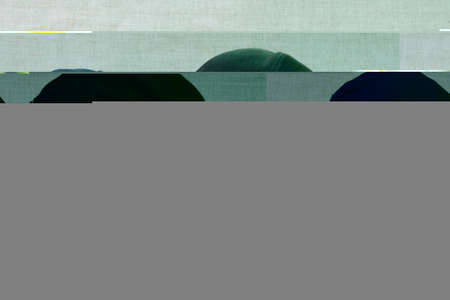 Frangipani Flower In garden, Thailand.の写真素材