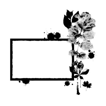 A blank frame in black and white coloursの写真素材