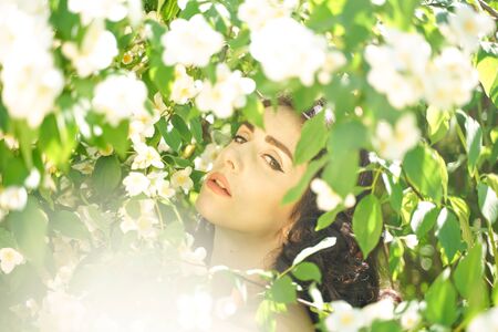 the girl stands among the Jasmine bushes and inhales the fragrance of flowersの写真素材