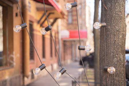 Garlands of lamps on the street. A wedding Banquet.