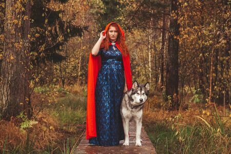 the girl in the blue dress and red cloak in the woods on the road with a big dog Malamuteの写真素材