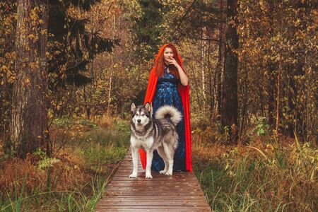 the girl in the blue dress and red cloak in the woods on the road with a big dog Malamuteの写真素材