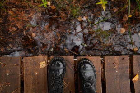 Autumn water with legs. suicide depression concept. beautiful fall nature.の写真素材