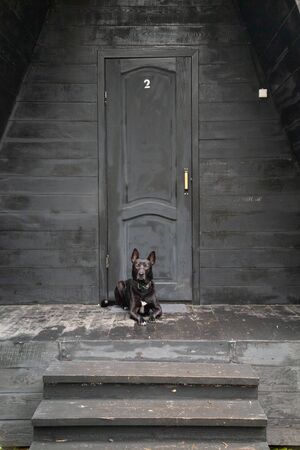 black dog in front of black house of owner in the forestの写真素材
