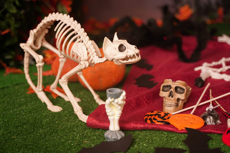 Halloween home decorations for trick or treat with nobody