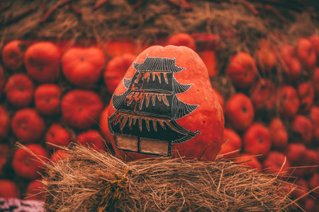 pumpkins in honor of the celebration of autumn and Halloween. festival of vegetables, creative house of pumpkin.の写真素材