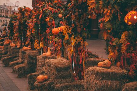 pumpkins in honor of the celebration of autumn and Halloween. festival of vegetables.の写真素材