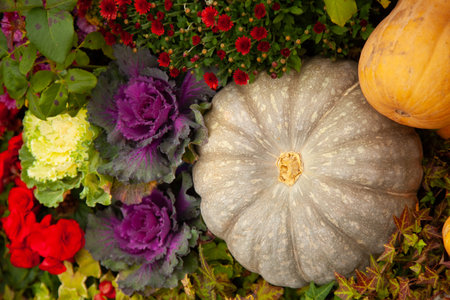 pumpkins in honor of the celebration of autumn and Halloween. festival of vegetables.の写真素材