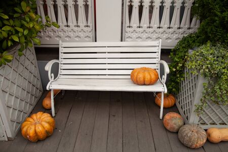 Bench in city park in the autumn with nobody.の写真素材