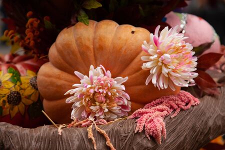 beautiful painted autumn pumpkins at Halloween fair with nobodyの写真素材