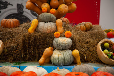 original unusual figure of pumpkins in the form of a frog for Halloweenの写真素材