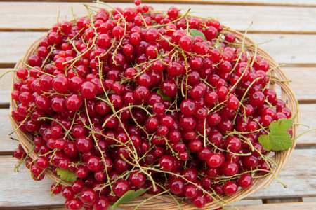 Red currants on the table