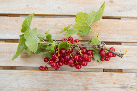 Red currants on the table