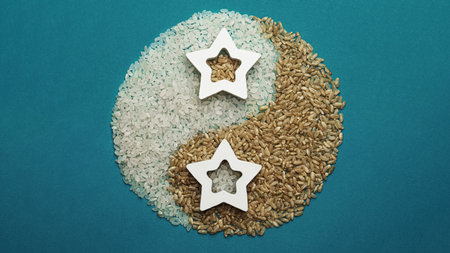Light and dark rice. Yin and Yang symbol. On a turquoise background. Asian food.の写真素材