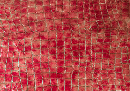 Crocodile or snake skin, reptile texture. Background. A flap of skin.の写真素材