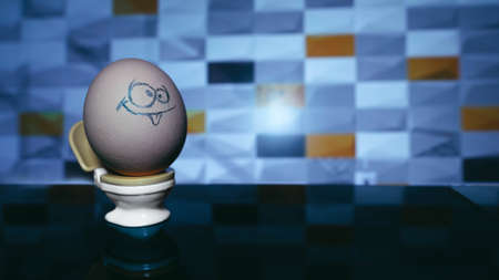 The egg has a pencil-drawn face. The egg sits on the toilet. In the background is a square smear.の写真素材