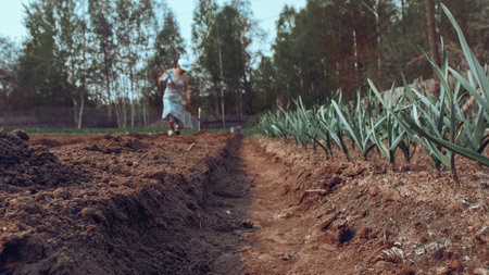 Plowed field and seeded. Farmers farmland. Long ridges of beds. Fertile lands, the countrys economy, courting the land. harvestの写真素材