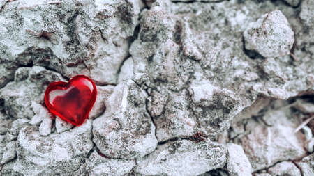 Red heart on the stones. A place for text. The concept of Valentine's Day, Patrick. Love to travel, lasagna on rocky areas and mountains.の写真素材