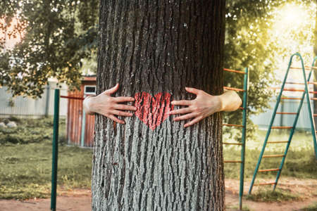Summer sunny day, tree trunk with a red heart, hands hugging a tree, playground.の写真素材