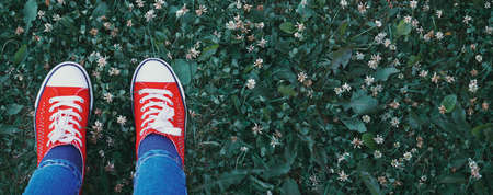 Red sneakers with white laces stand on the green grass. Rest in nature, exercise outdoorsの写真素材