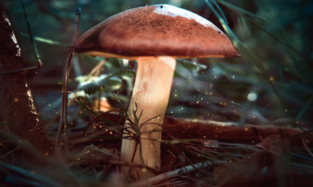 A mushroom in the forest, glowing specks of dust fly around. Fabulous atmosphere, big brown mushroom...