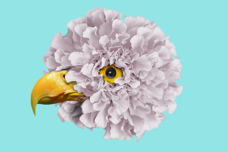 Marigold flower. The head of the bird is made of marigold flower. Modern collage in pastel shades....