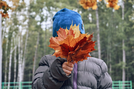 A girl child in a blue hat, on a warm autumn day holds a bouquet of dry yellow red leaves. Autumn...