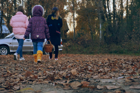 Mom and daughter walk on the dry leaves in the park. Forest, a place for walking and sports. Autumn, a group of people walk through the forest.の写真素材