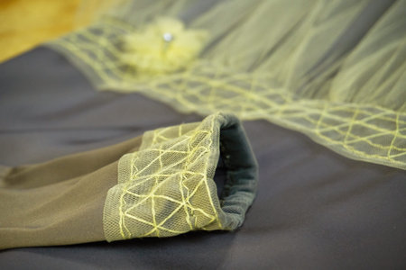 Sleeve clothes with embroidered patterns, beauty and fashion. Close up of the clothing details....