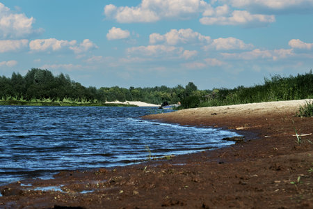 River in summer time, in the foreground river sand, in the background bushes, trees, blue.の写真素材
