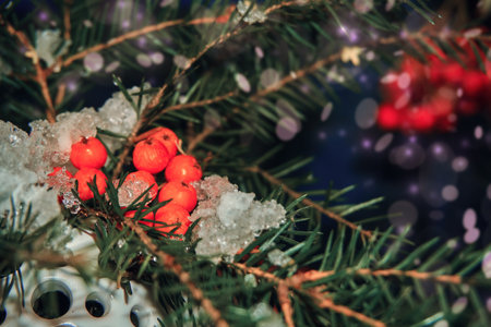 Spruce branches in the snow, rowan berries and falling snow. selective focus. New Year's composition. New Year's Eve, Rojama.の写真素材