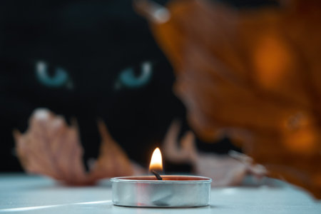 A burning candle stands on the table and a circle of dry autumn leaves. Glowing eyes are visible in the background black. selective focus.の写真素材