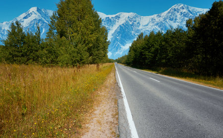 An asphalt road passing through fields and forests. Hitchhiking, outdoor recreation. direct road.の写真素材