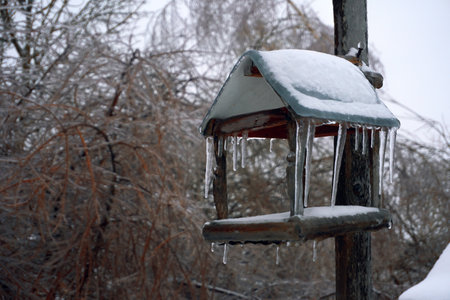 Feeder for birds and forest animals, covered with a layer of ice, hanging icicles on the edges of the roof. Winter white snow, selective focus.の写真素材