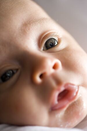 Close-up cropped face of newborn 1 month old baby boyの写真素材
