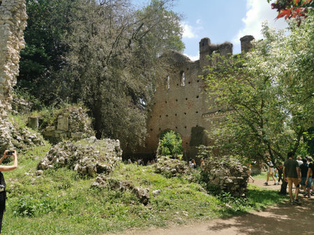 Ruins of the medieval castle of Roussillon, France