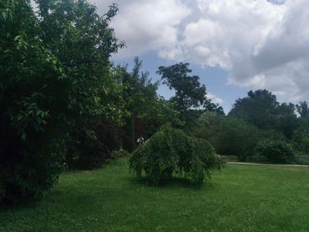 A view of a green garden with trees and grass under a cloudy sky.の写真素材