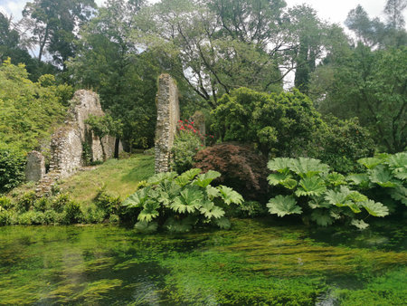 The ruins of a medieval castle in the middle of the forest.