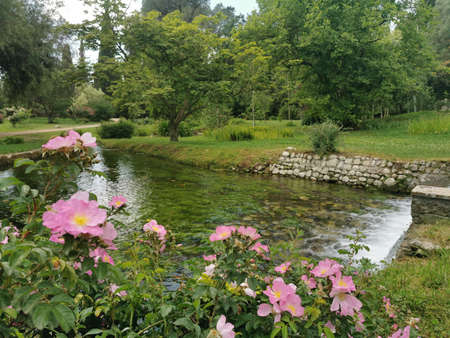 Ile de France, the picturesque village of Villandryの写真素材
