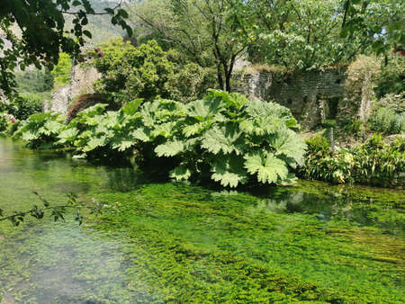 View of a small river surrounded by greenery in the French countrysideの写真素材