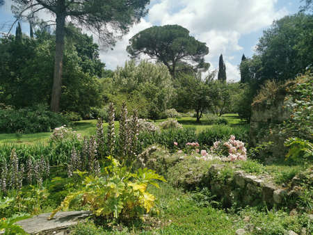 garden of water lilies and castle of sermoneta enchanting viewsのeditorial素材