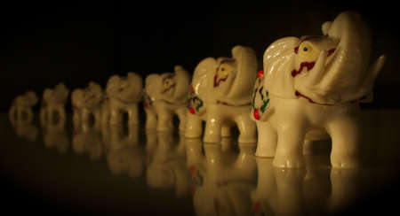 fil biblolar?の写真素材