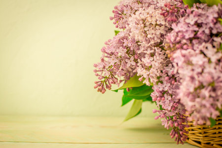 lilac flowers on spring