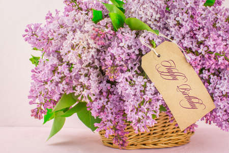 Beautiful flowers of lilac on brightの写真素材
