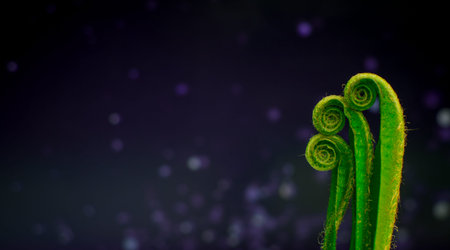 green fern leaves on green background