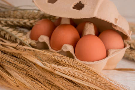 Farm-Fresh Brown Eggs in a Paper Cartonの写真素材