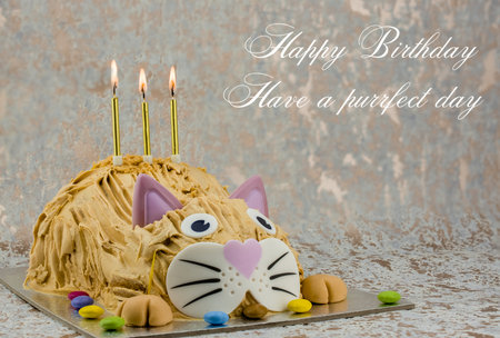 photo of Funny cat  birthday cakeの写真素材